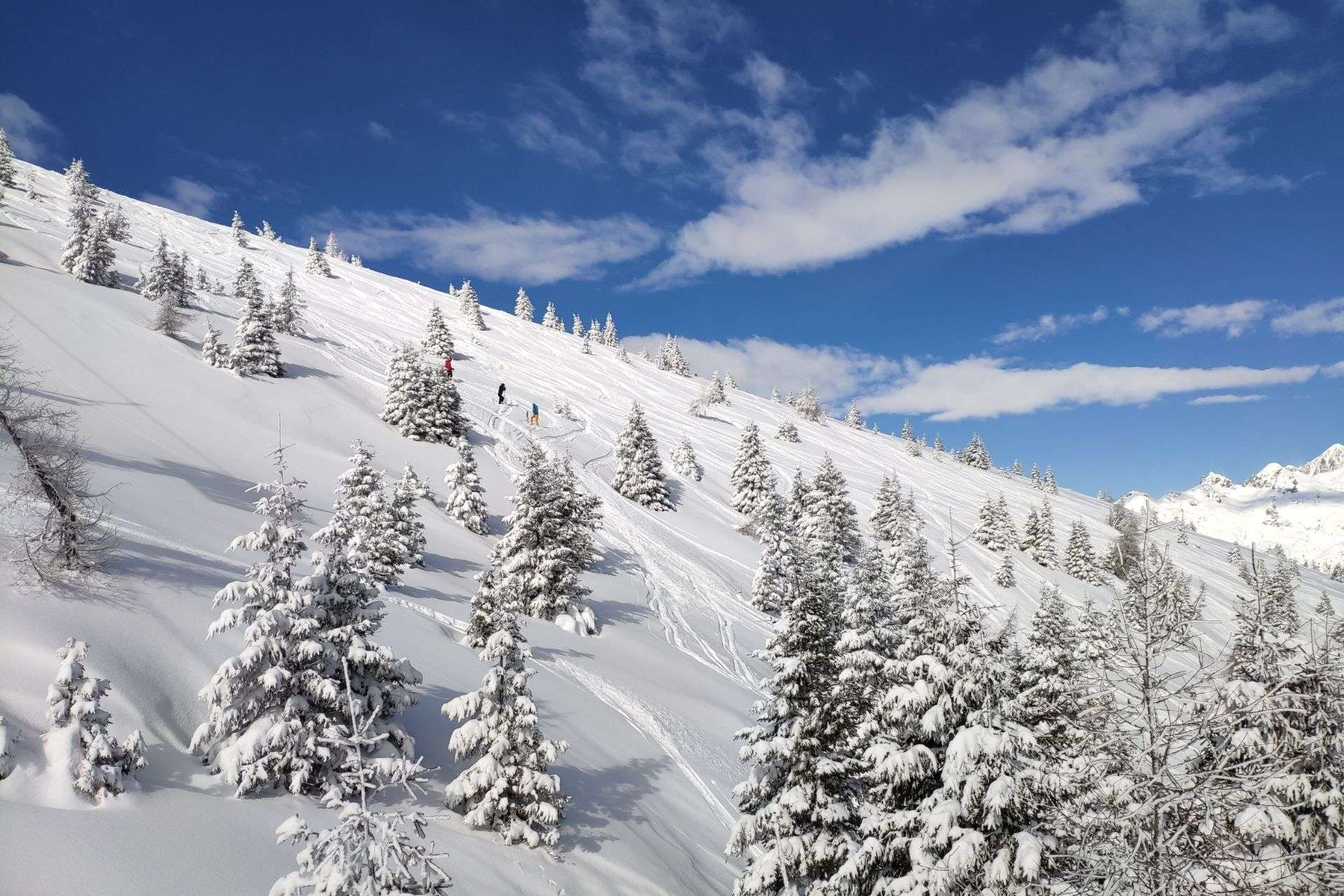 Things to Do in Winter in Cyprus Sunshadow Invest