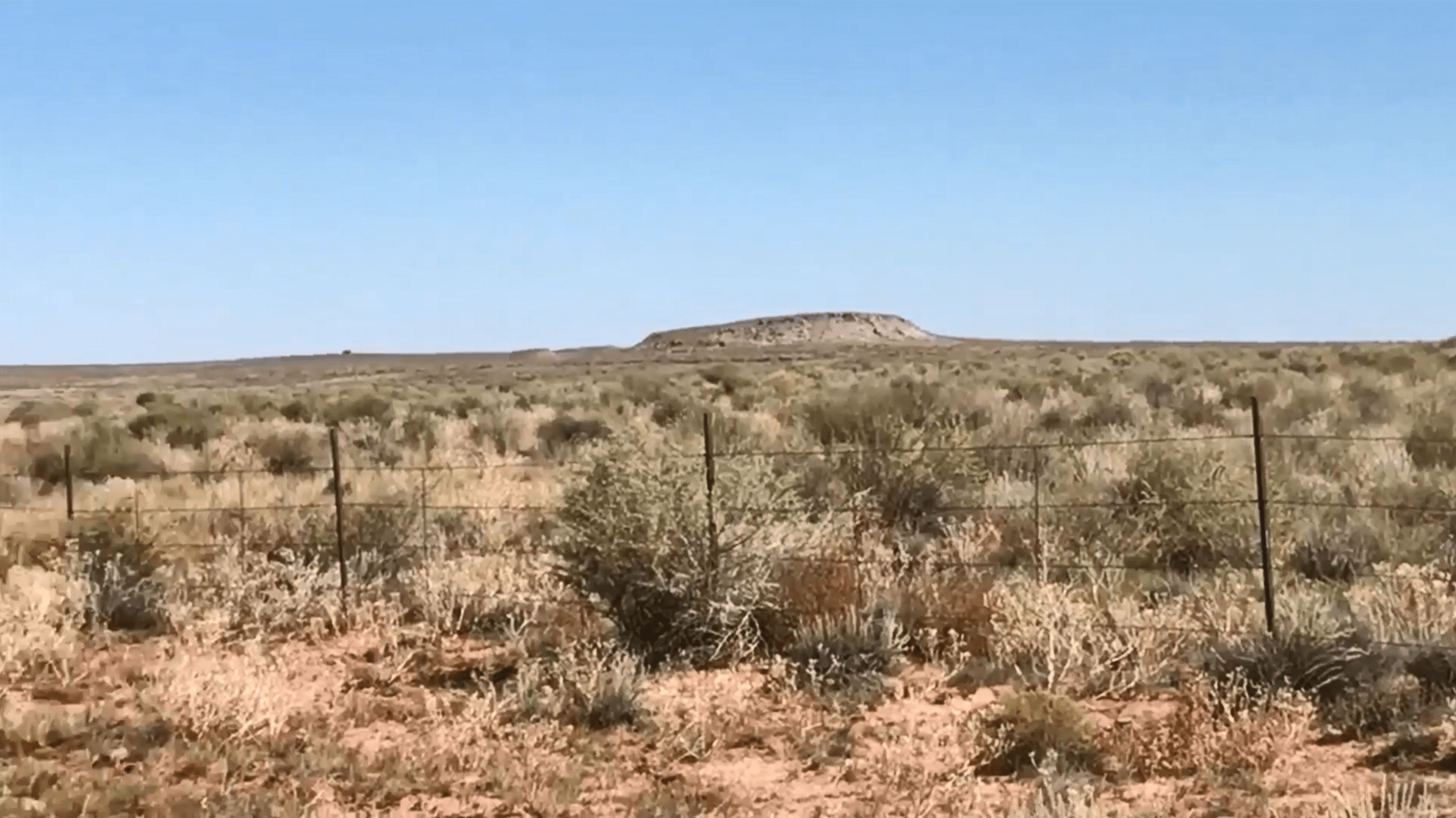 Sunshine Acres USA (719) 3457498