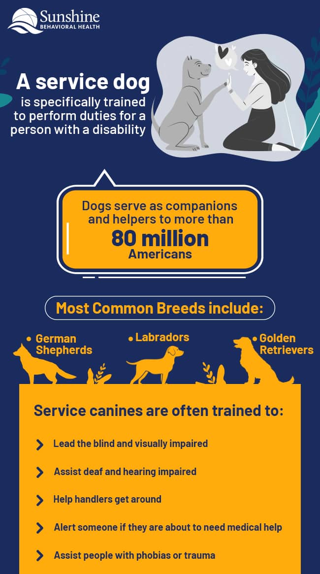 How to Get Service Dogs & Emotional Support Dogs Sunshine Behavioral