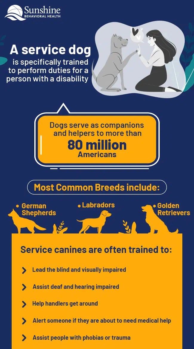 How to Get Service Dogs & Emotional Support Dogs Sunshine Behavioral Health
