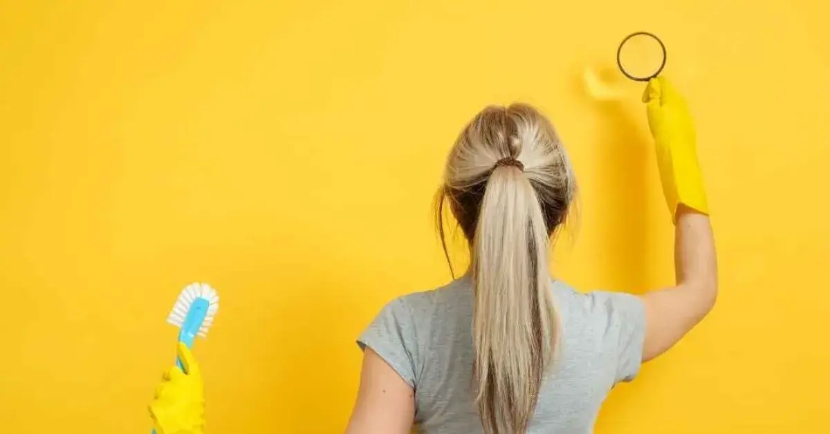 Post Construction Cleaning South Jersey Sunshine Clean Pros