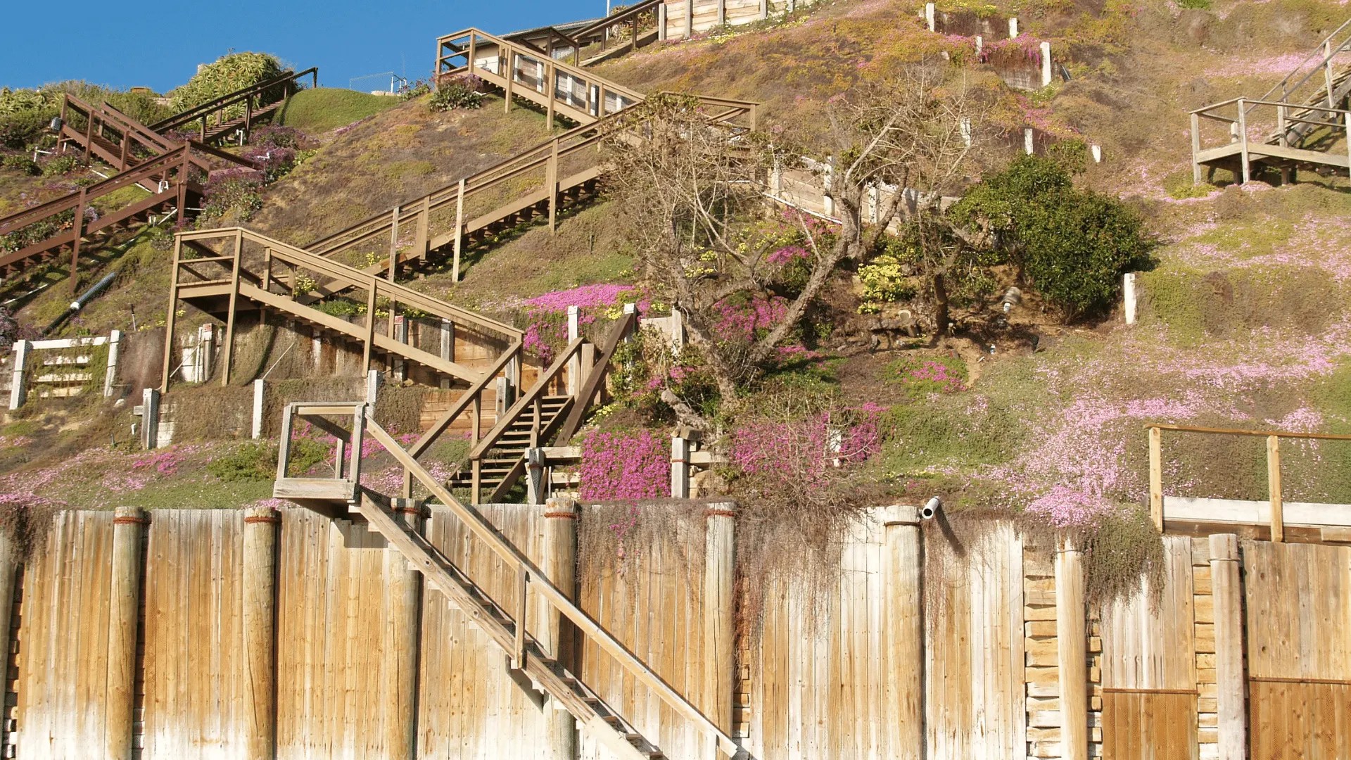 Timber Retaining Walls Sunshine Coast