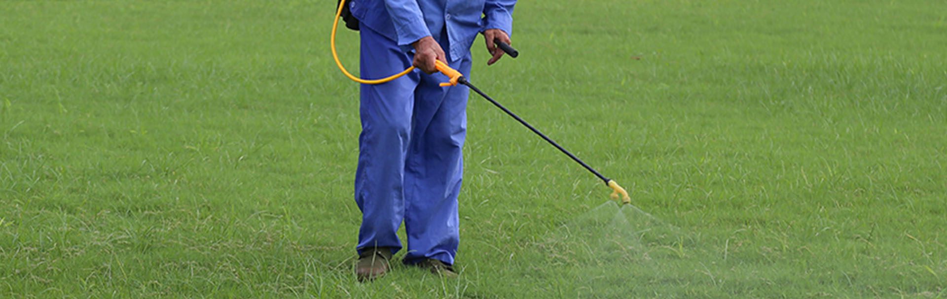 How to destroy common garden weeds Sunshine Mitre 10