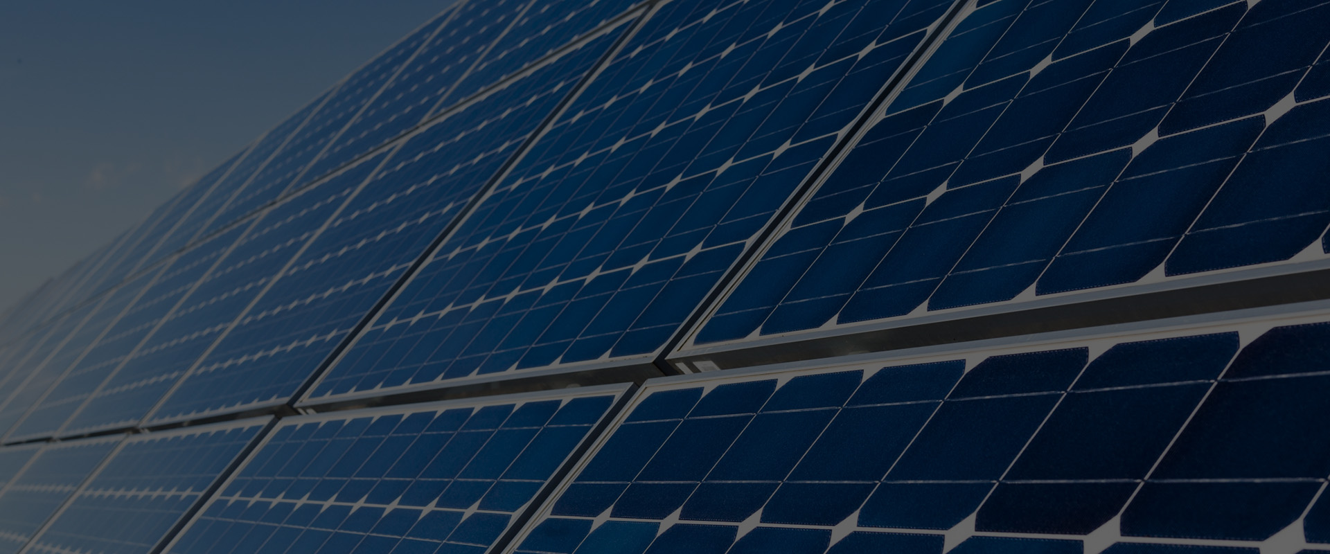 LONGI Solar Solar Panels Sunshine Renewable Solutions