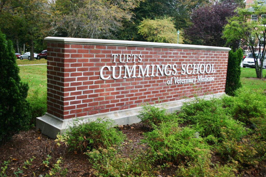 What Is A Monument Sign? A Simple Explanation Of How It Works.