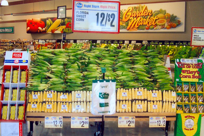 Displays Sunshine Sweet Corn