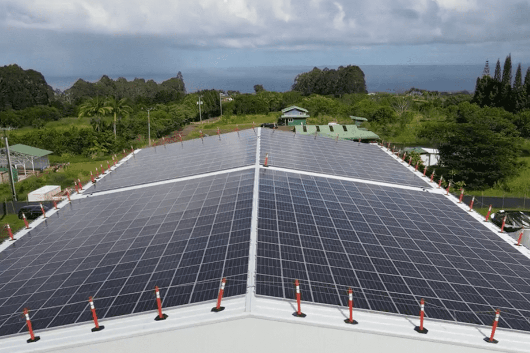 Big Island Grown SunSpear Energy Hawaii's Leader In Solar