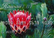 Hawaii EBT Card Balance