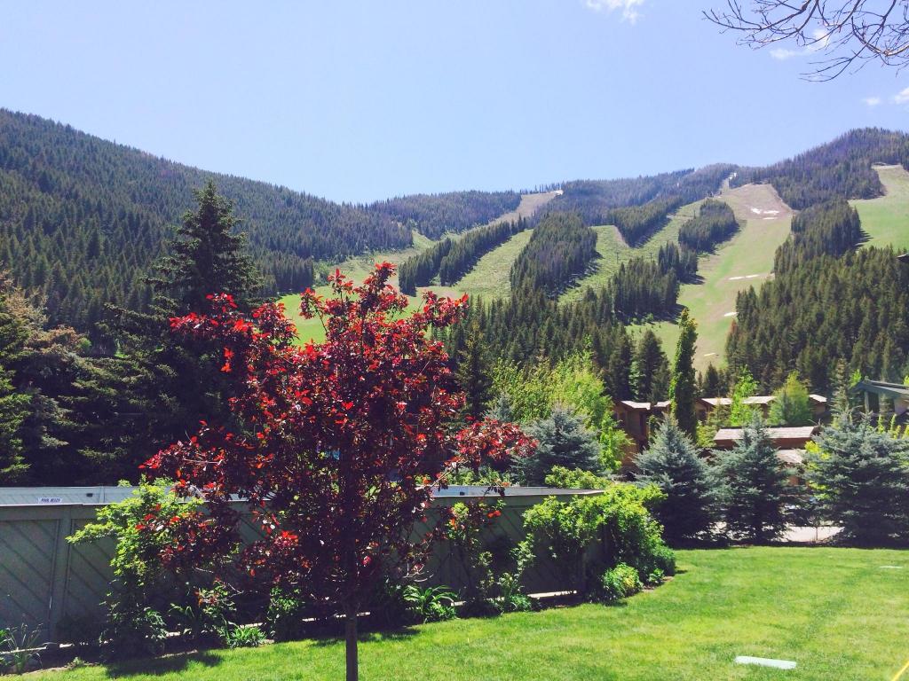 picabost Sun Valley Life Real Estate in Sun Valley, Idaho