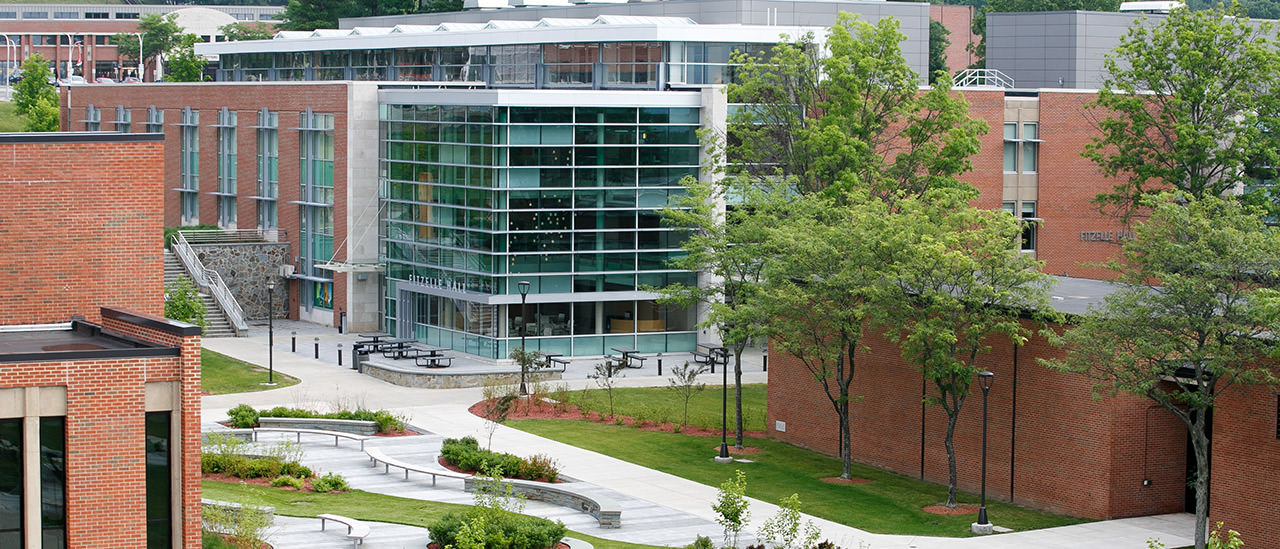 School Counselor K12 (M.S. in Education) SUNY Oneonta
