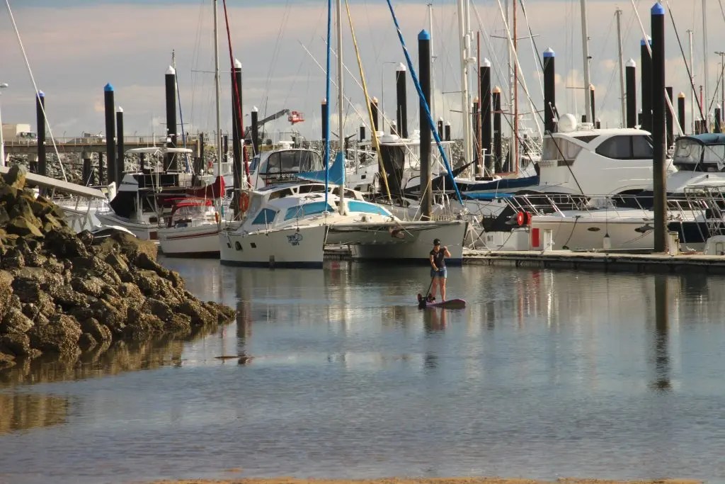 Stand Up Paddleboarding in Mackay Harbour SUP Chick