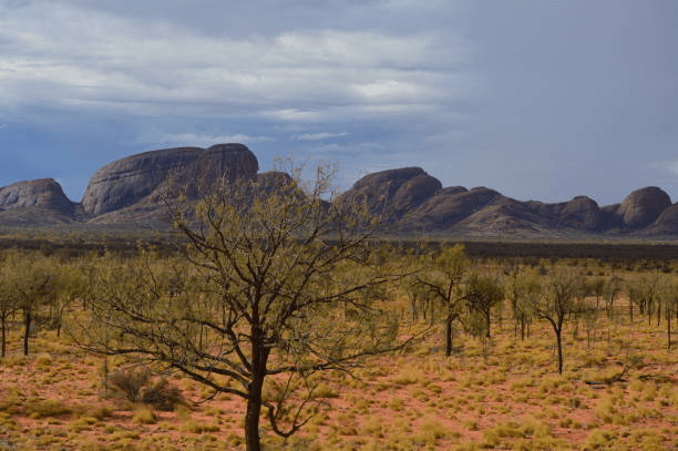 Discover Australias Stunning Natural Wonders Majestic Landscapes