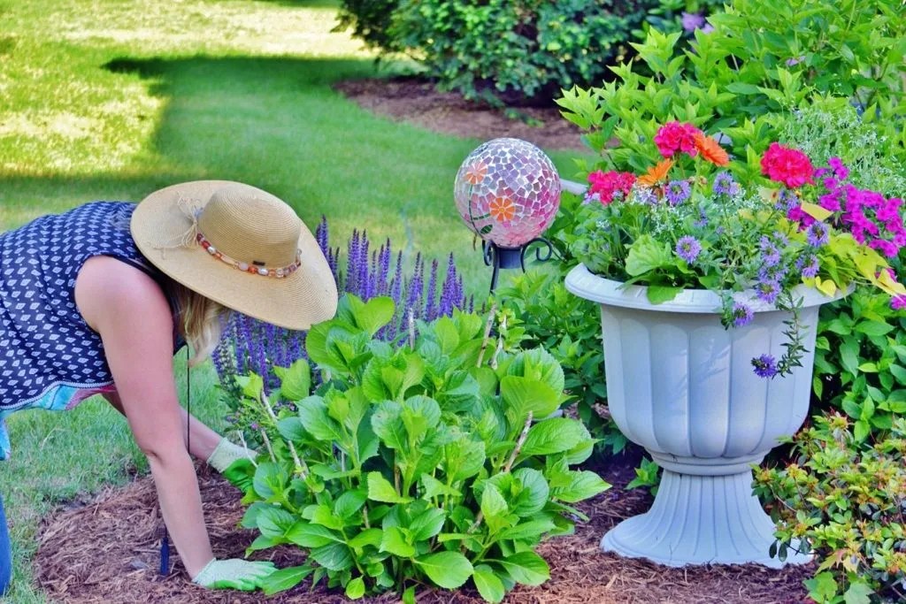 How to Care for Your Septic Tank Risers Supeck Septic Services