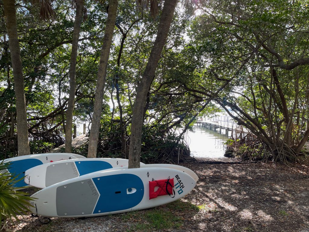 Paddle Board & Kayak Rentals Eco Tours [Englewood FL]