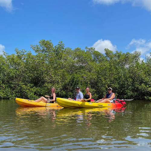 Paddle Board & Kayak Rentals Eco Tours [Englewood FL]