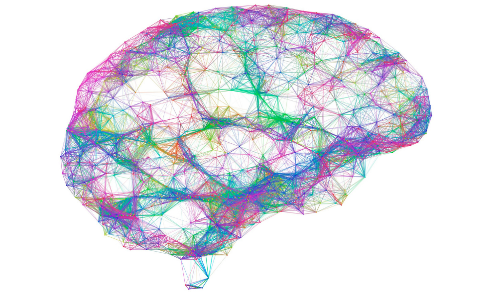 THE PLASTIC BRAIN (& THE IMPORTANCE OF EARLY INTERVENTION) Super Lily