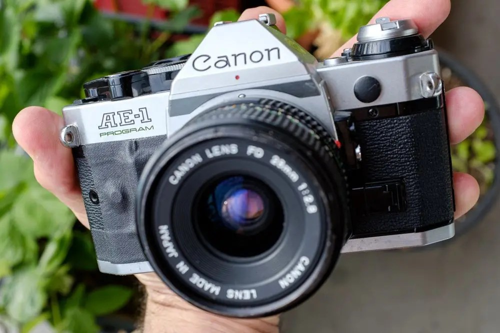 12 Rekomendasi Kamera Analog Terbaik + Harga untuk Pemula