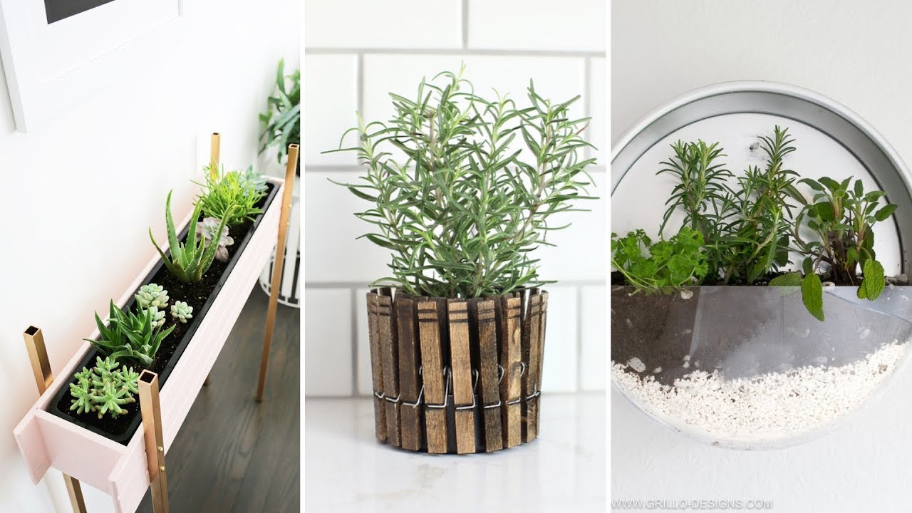 10 Clever and Cheap Indoor Garden Ideas SuperbGardener