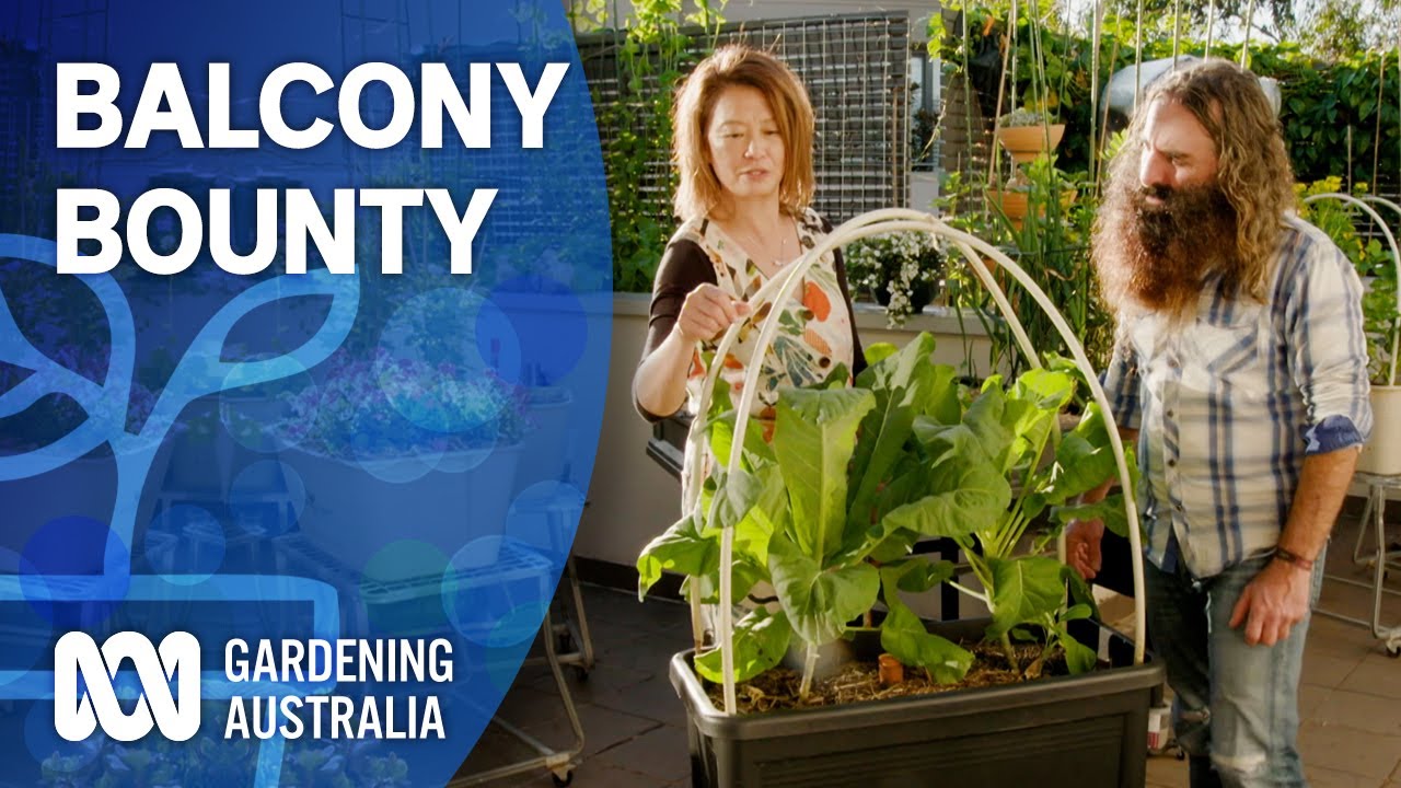 Balcony Bounty Indoor Plants And Balcony Gardens Gardening