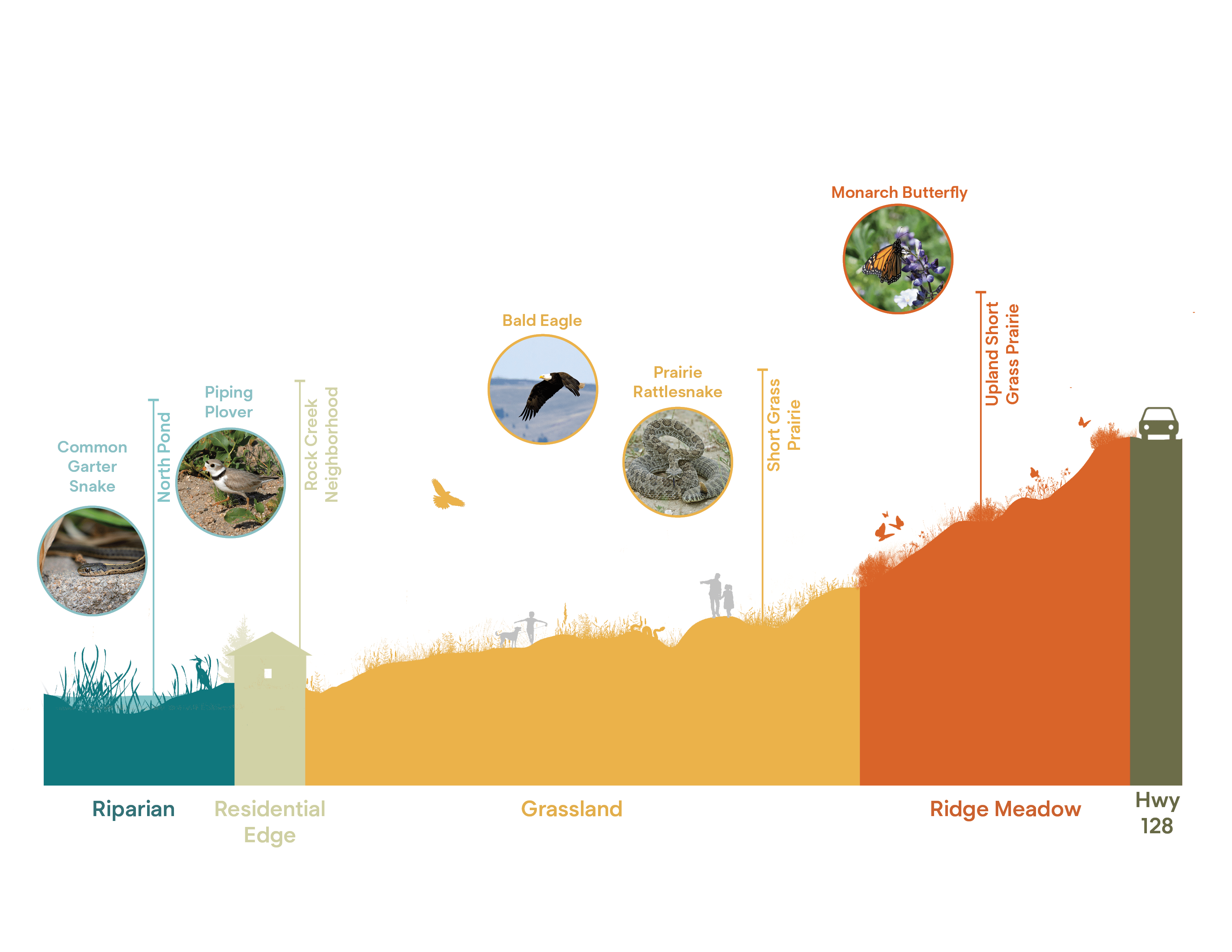 Coyote Ridge Open Space Master Plan Superbloom