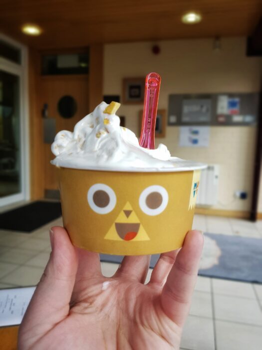 Maud's IceCream Factory Tour experience Super Busy Mum Northern