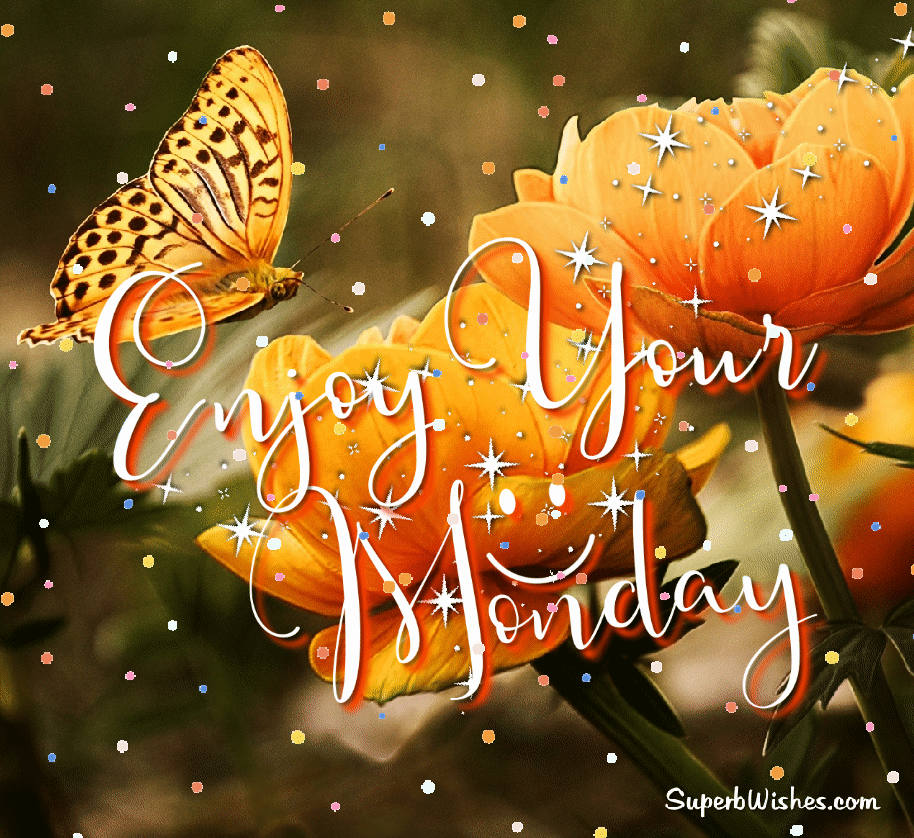 Happy Monday GIFs Beautiful Monday GIFs SuperbWishes