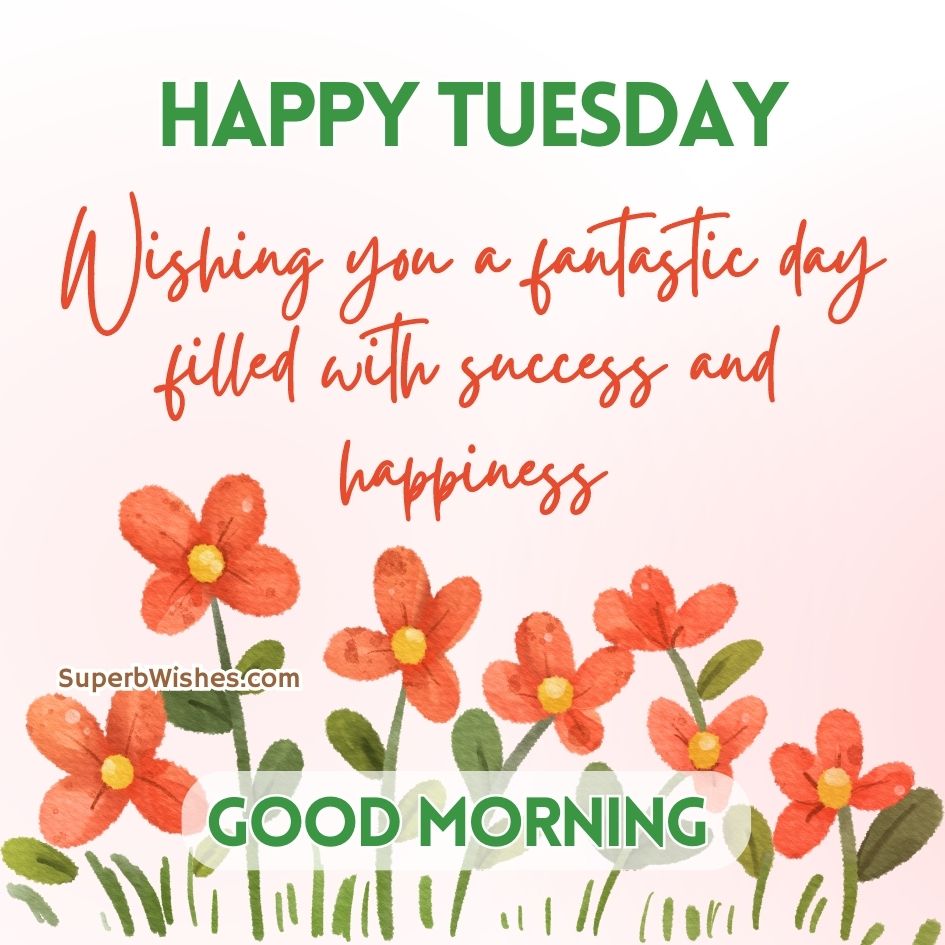 Happy Tuesday Images SuperbWishes