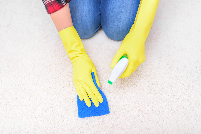 I Shampooed My Carpet And Now It Smells Like Urine.Our Guide