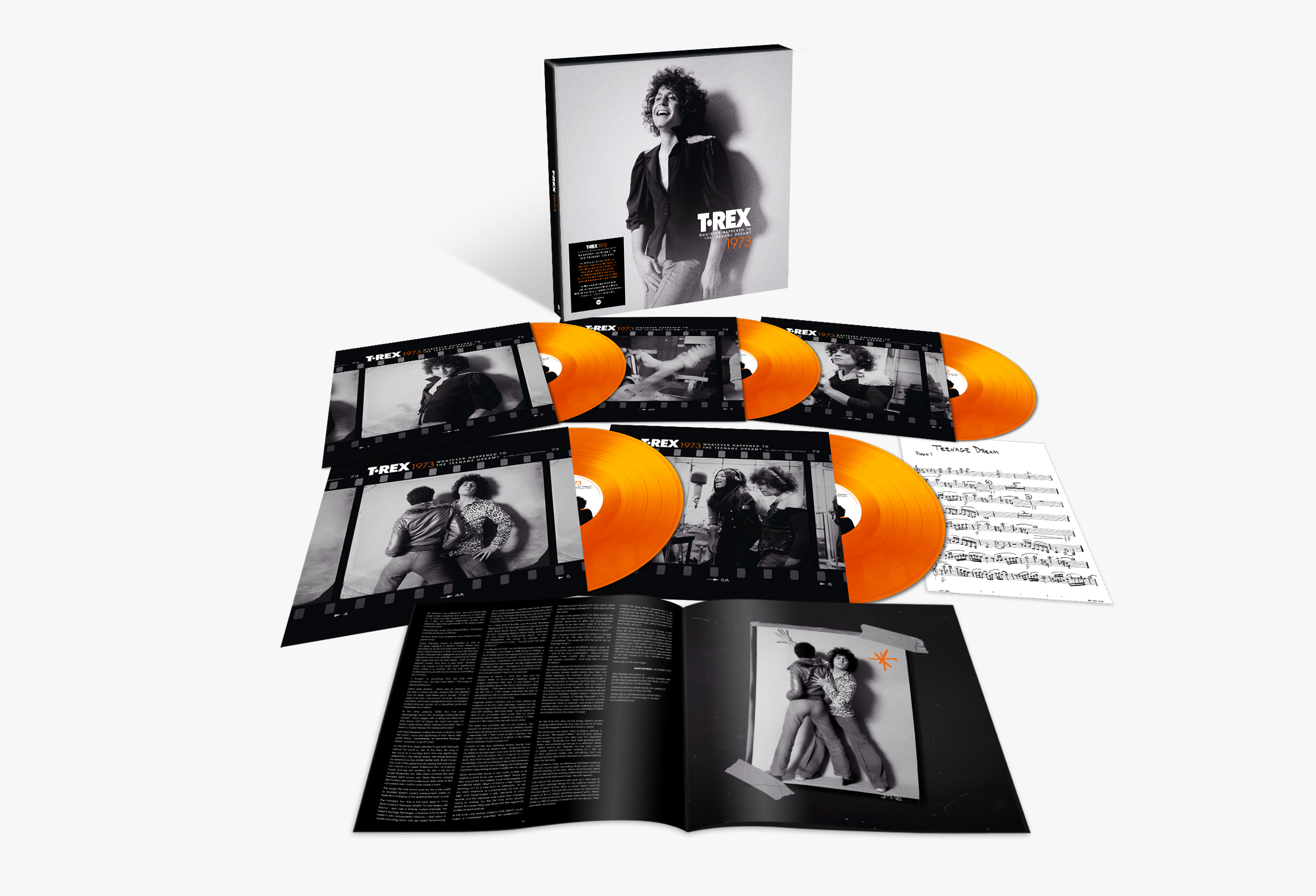 T. Rex / Whatever Happened to the Teenage Dream? (1973