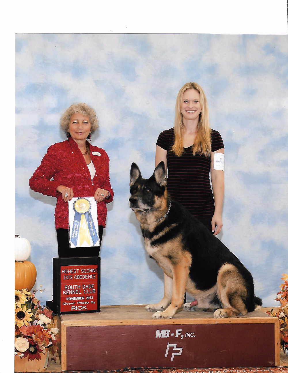 1 Dog Training, Boarding & Grooming in Sping Hill Tampa Fl See Videos