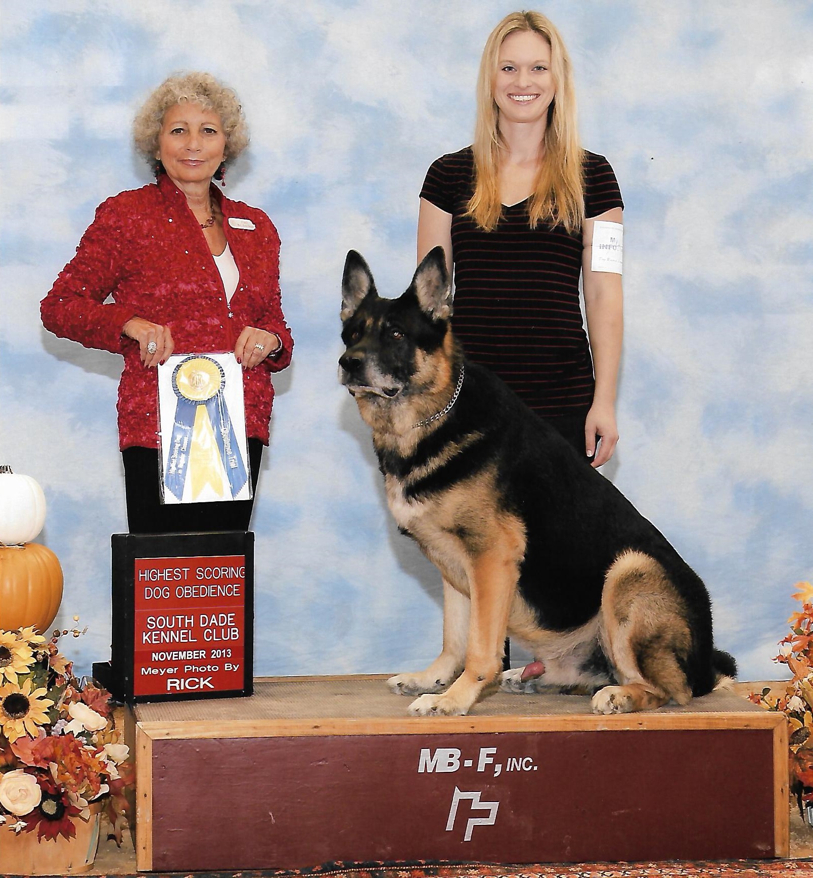 Dog Training Dog Boarding, Dog Training and Dog Grooming Spring Hill