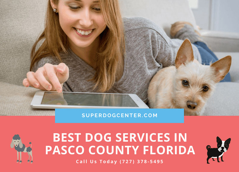 Dog Services to Pasco County Florida Dog Training and Dog Boarding