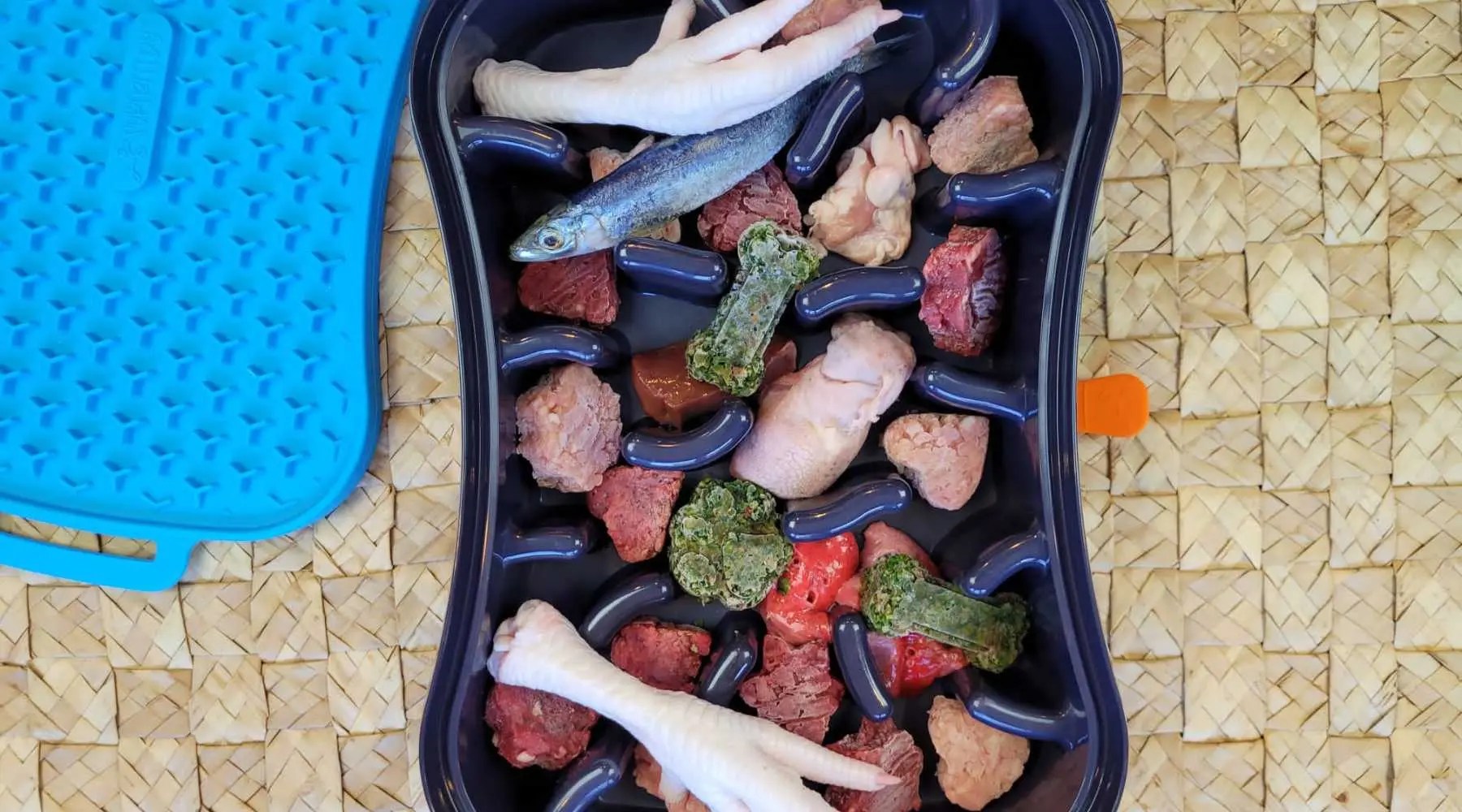 Can Changing Dog Food Cause Problems? Insights for Pet Owners Super Feedy