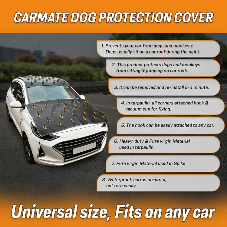Shop Car Protection Cover From Monkey And Dog For All Car Superfluous