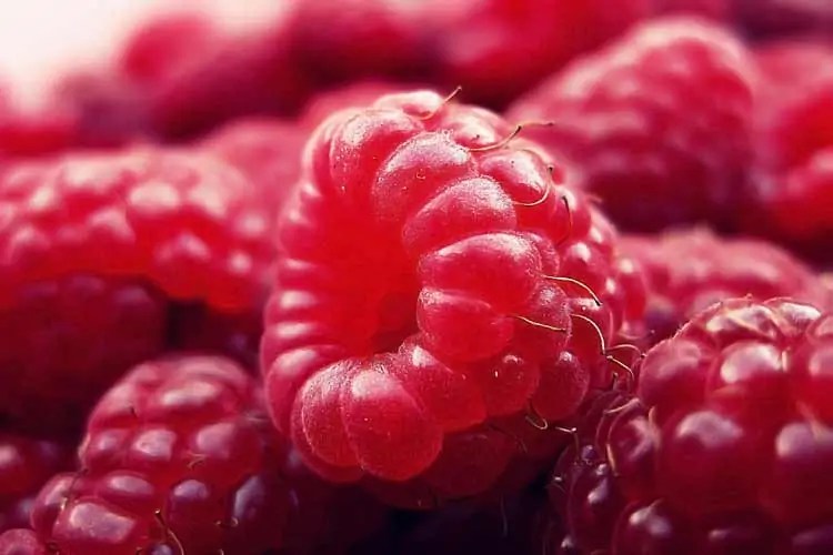 The Real Numbers For Raspberry Glycemic Index & Load Superfoodly