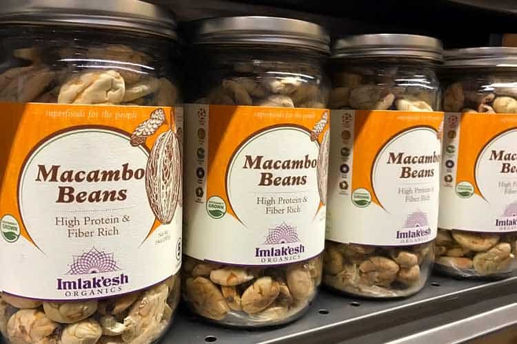 Macambo Beans The Rare White Cousin of Cocoa Superfoodly