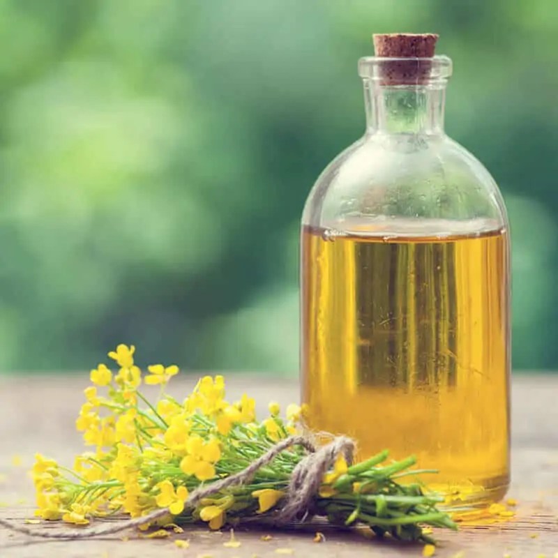 Is Canola Oil Good or a Danger to Health? Superfoodly