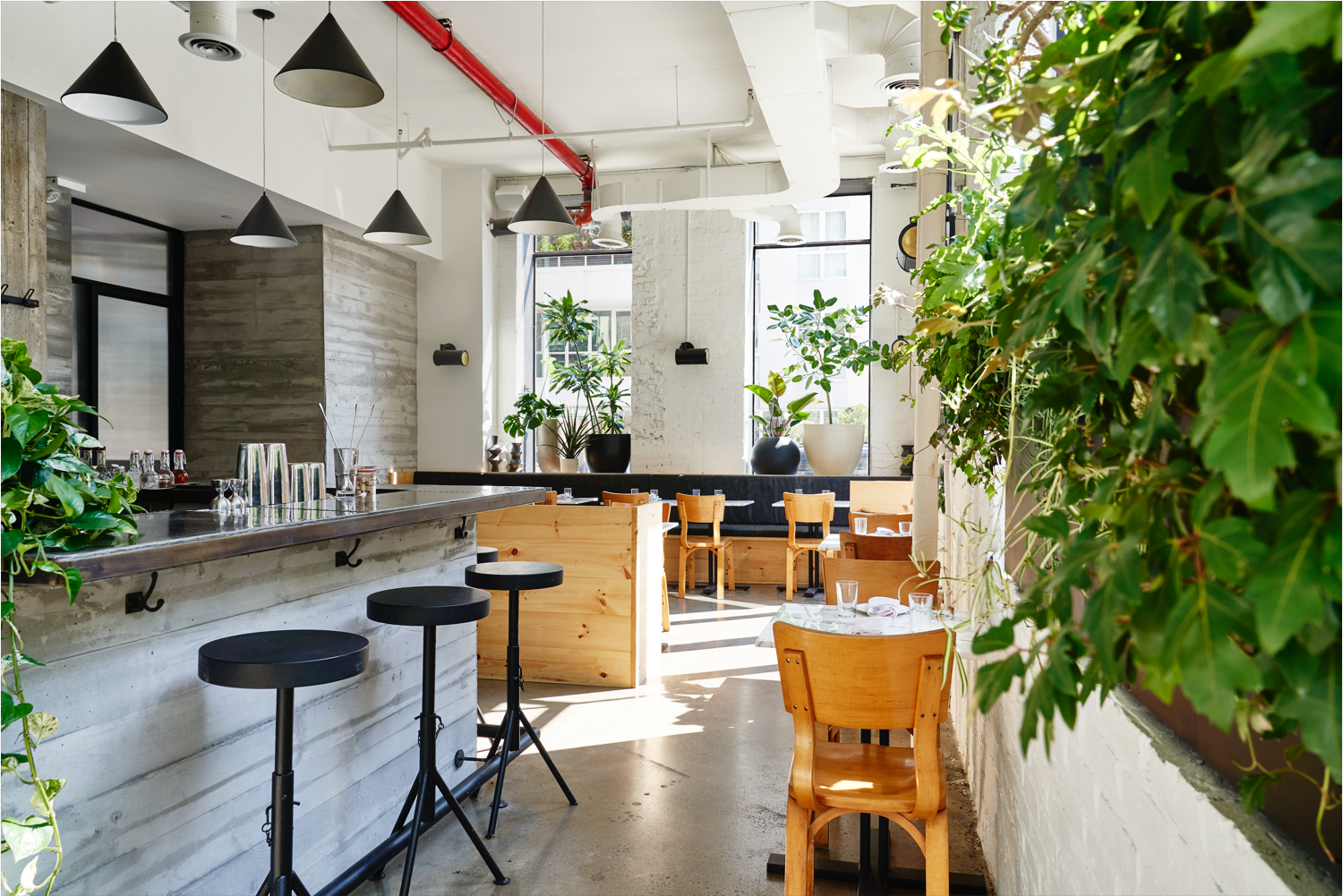 New York Bathhouse opening superfuture®