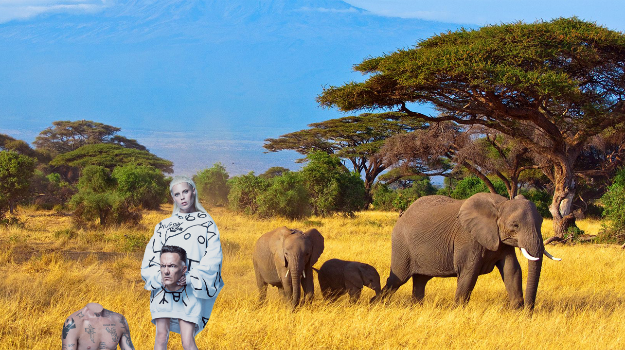 Рецензия на альбом Die Antwoord HOUSE OF ZEF Super G