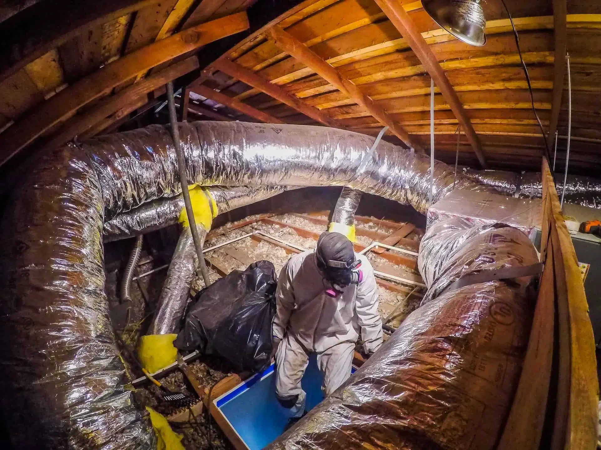 Rodent Proofing Super Green Attic Insulation