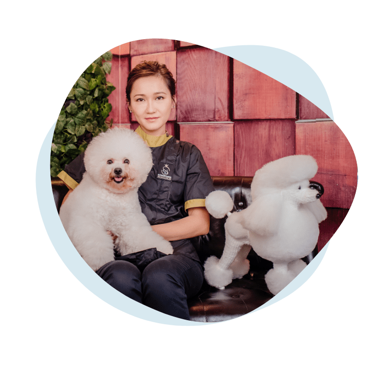 About Us Supergroomers Pets Academy Pet Grooming School