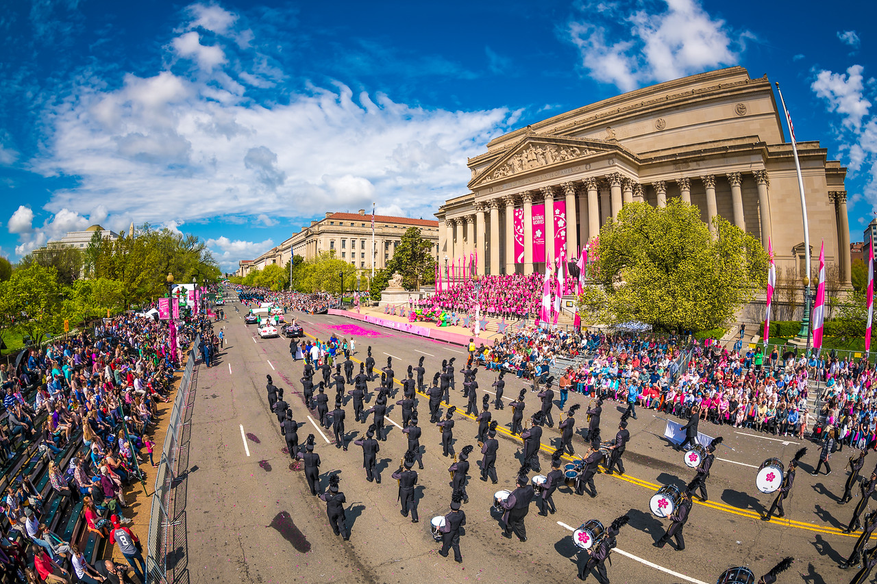 The National Cherry Blossom Festival Parade Super Holiday Tours