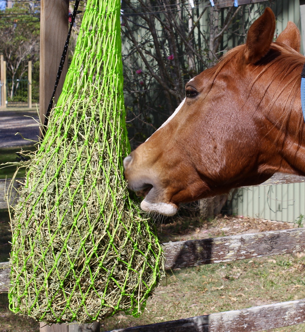Hay Nets Slow Feeder Super Horse Saddlery