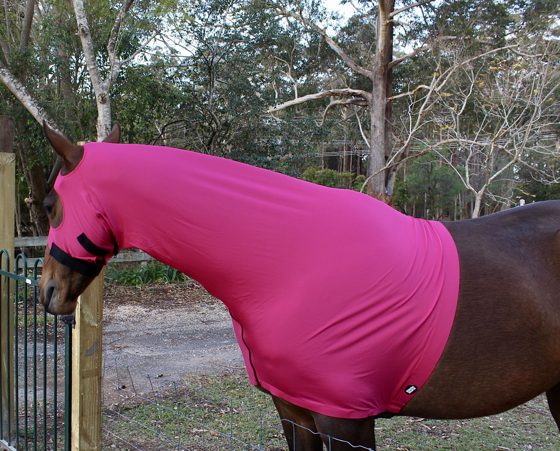 Lycra Horse HoodHot Pink Super Horse Saddlery