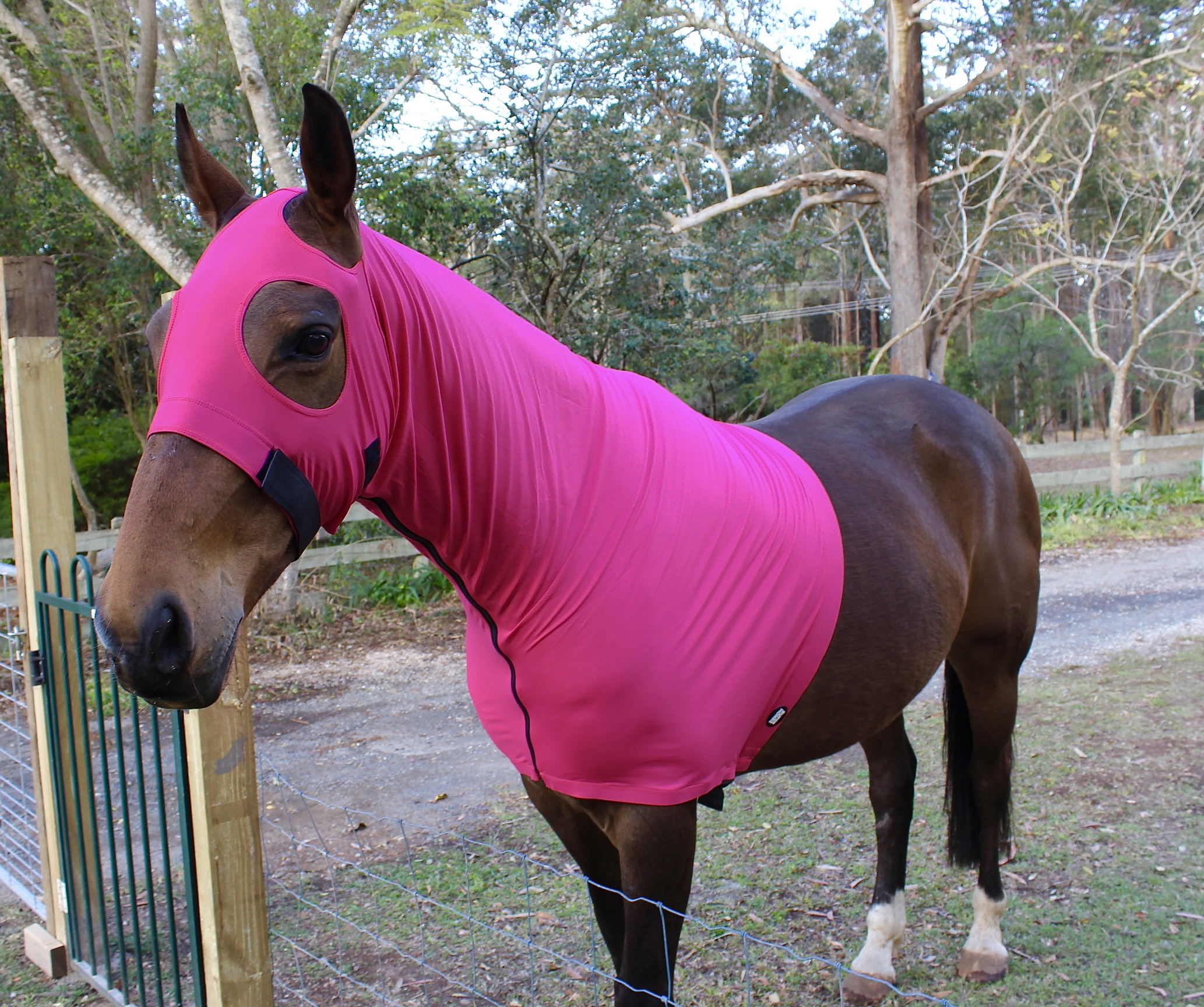 Lycra Horse HoodHot Pink Super Horse Saddlery
