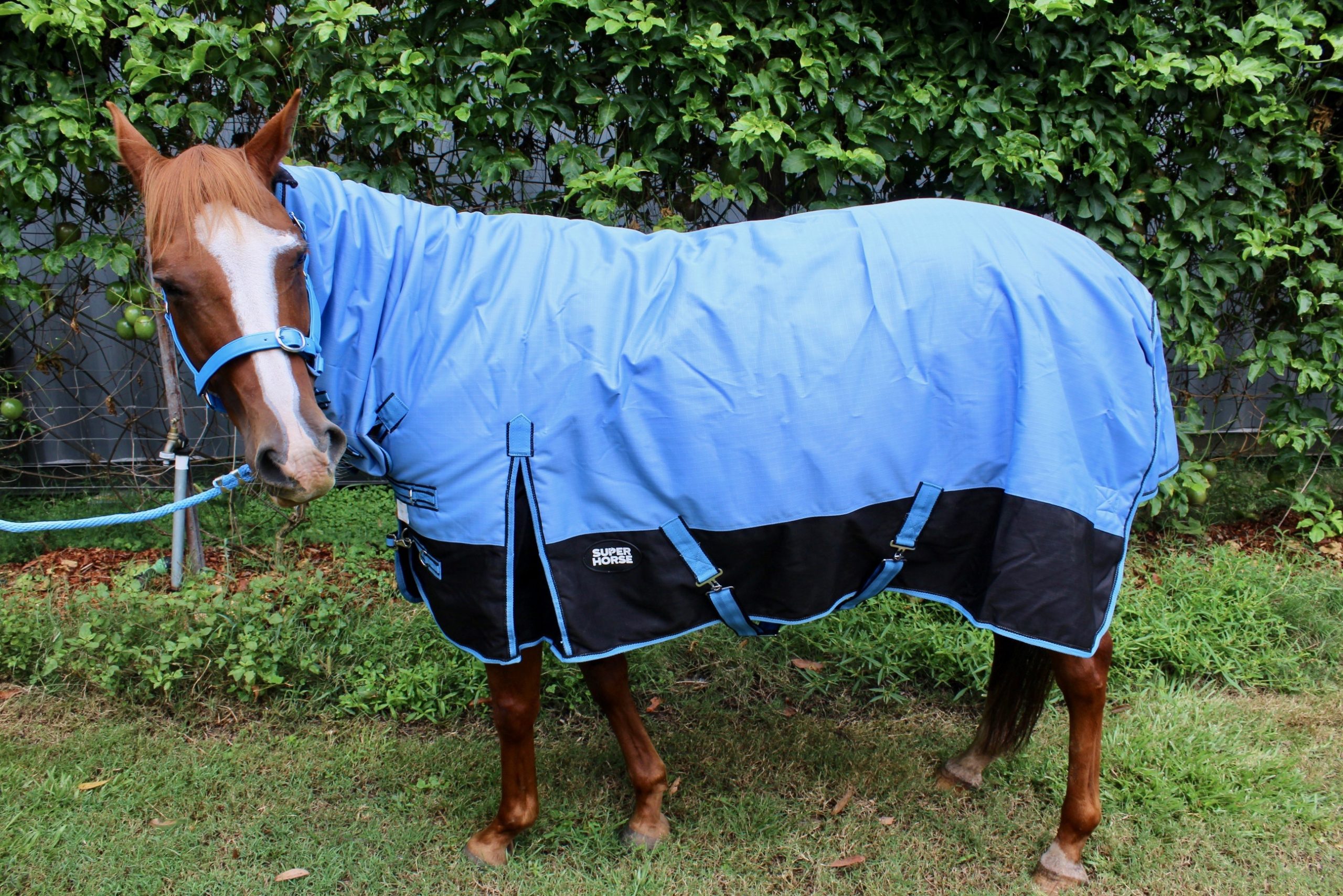1200D Horse Rug200g Winter Combo Super Horse Saddlery