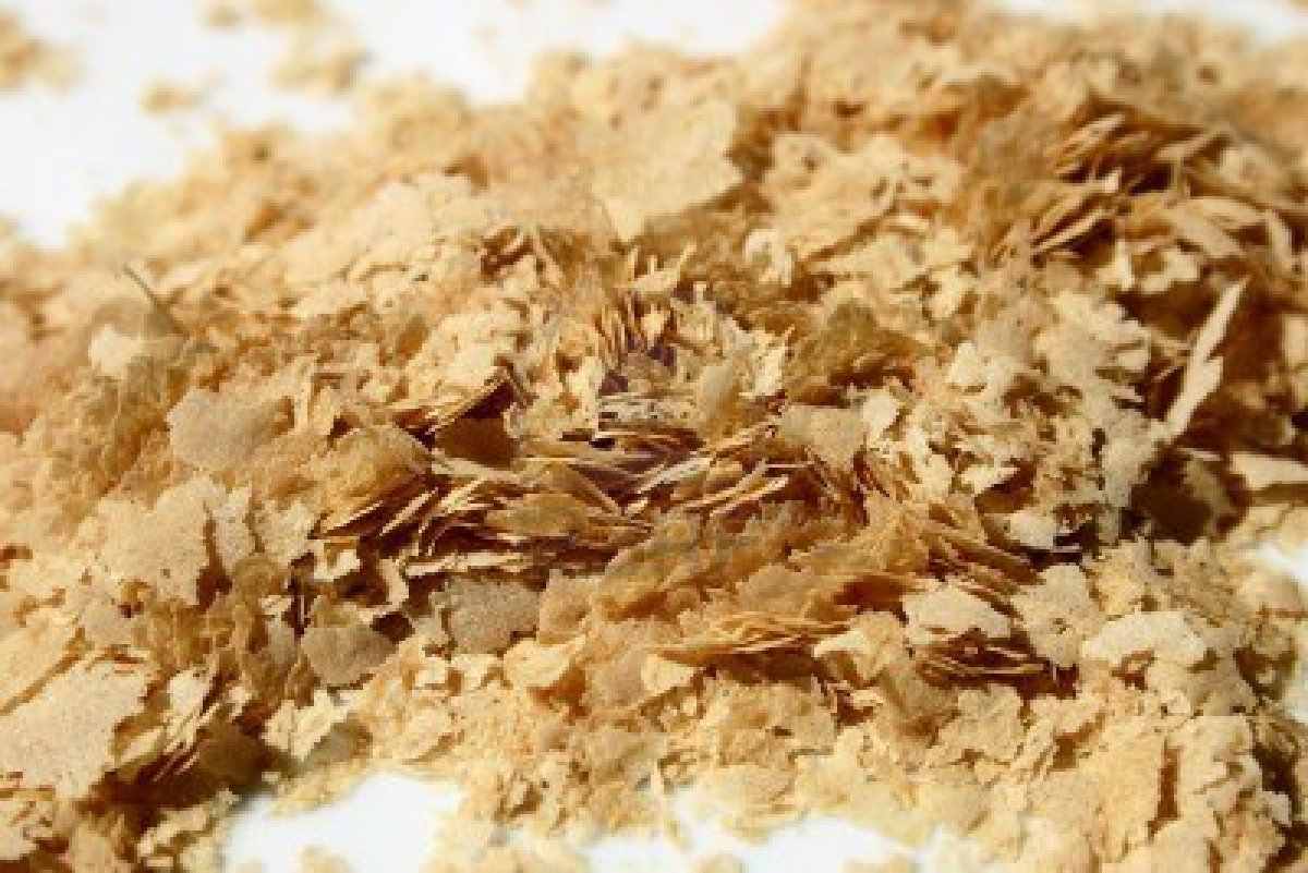 Pros and Cons of Brewer's Yeast