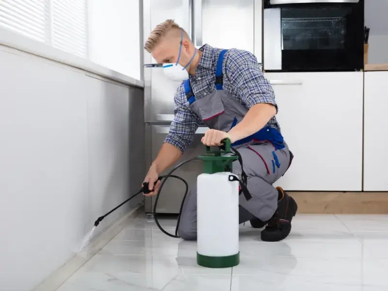 Pest Control Services In Vashi Super India Pest Control