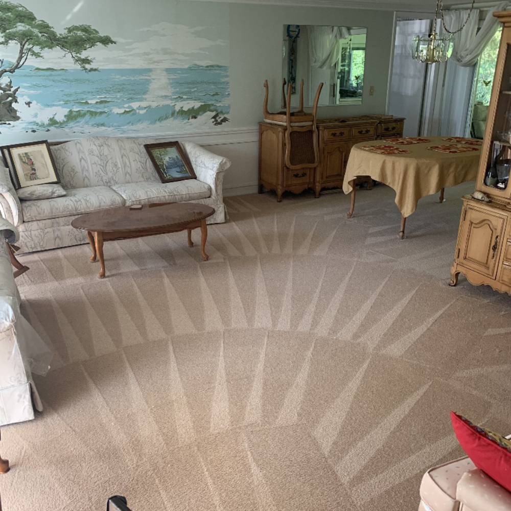 Gallery Superior Tile & Carpet Care Tarpon Springs