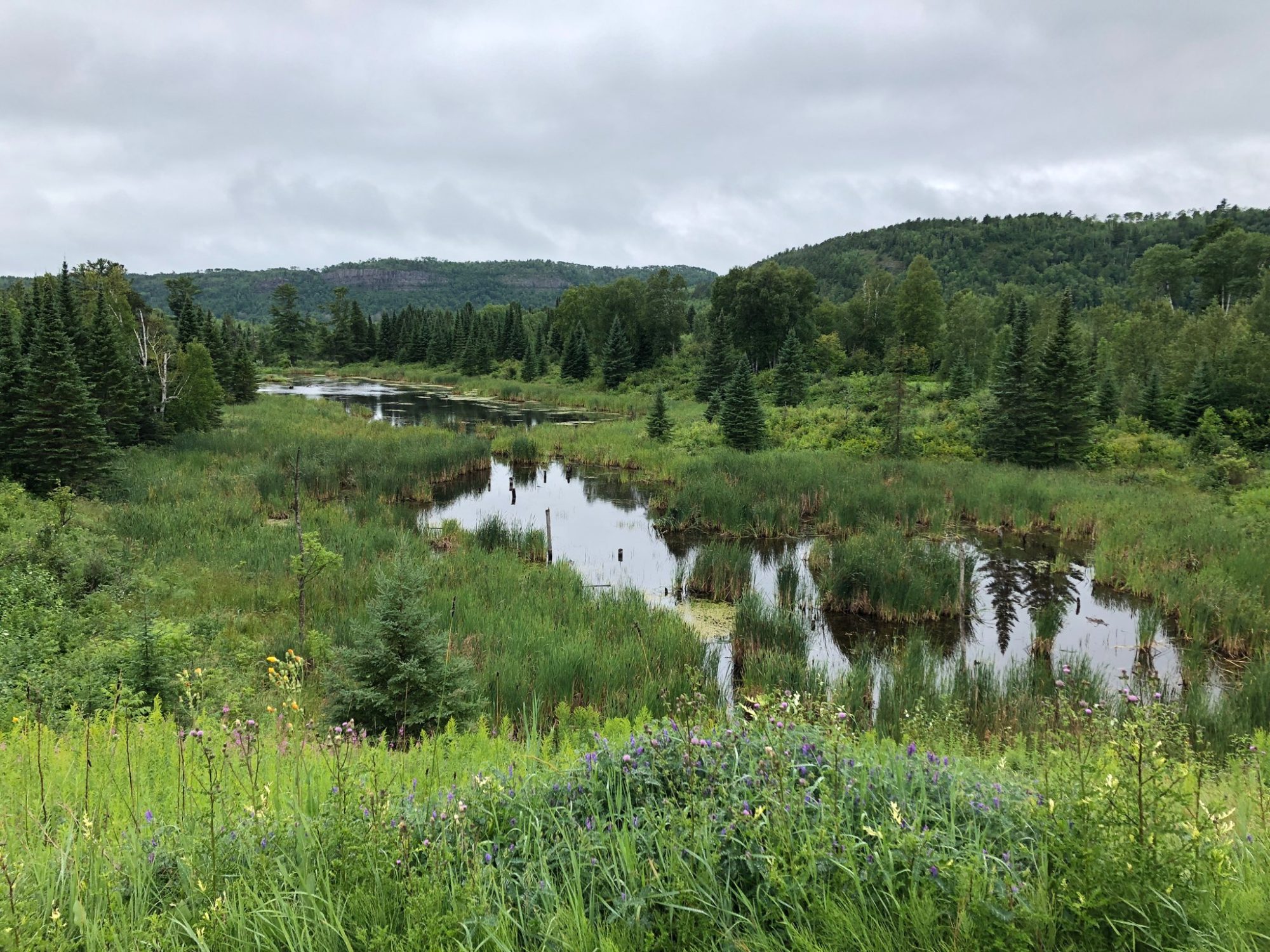 Neebing Superior Country